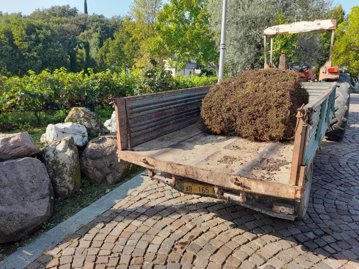 Casa El Paso Apartment Padenghe sul Garda Bagian luar foto